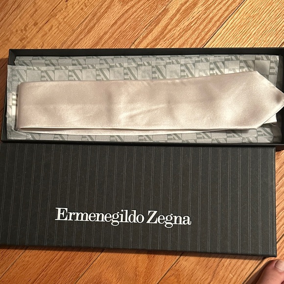Ermenegildo Zegna Elegant Light Gray Tie